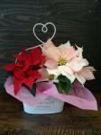 クリスマスまであと少し｜「花幸」　（愛知県豊川市の花キューピット加盟店 花屋）のブログ