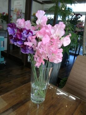 スイートピー｜「花幸」　（愛知県豊川市の花キューピット加盟店 花屋）のブログ