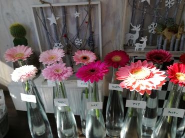 ガーベラ｜「花幸」　（愛知県豊川市の花キューピット加盟店 花屋）のブログ