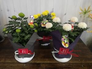敬老の日　１｜「花幸」　（愛知県豊川市の花キューピット加盟店 花屋）のブログ